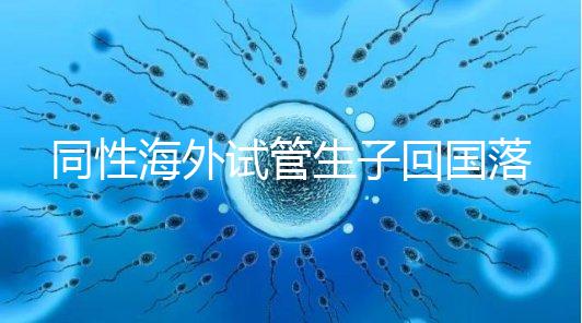 同性海外試管生子回國(guó)落戶講方法,男同上戶過程更復(fù)雜