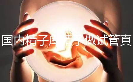 國(guó)內(nèi)精子庫(kù)精子做試管真不貴,費(fèi)用明細(xì)請(qǐng)快速收藏!