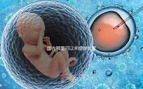 國內(nèi)哪里可以未婚做試管嬰兒 不用結婚證試管的機構哪里有