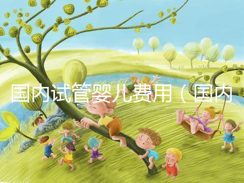 國內試管嬰兒費用(國內試管嬰兒費用多少)