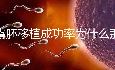 囊胚移植成功率為什么那么高？一期給你講明白！