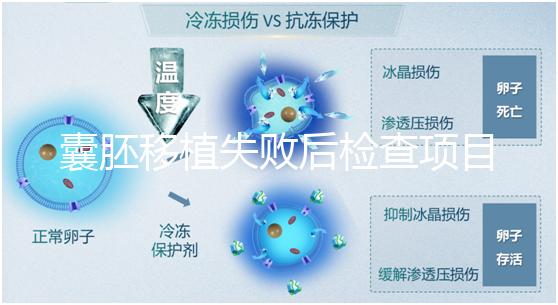 囊胚移植失敗后檢查項(xiàng)目，查免疫、內(nèi)分泌必不可少