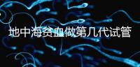 地中海貧血做第幾代試管嬰兒?要看看地貧的表現(xiàn)型