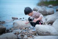 地龍的功效(地龍能提高性功能嗎)