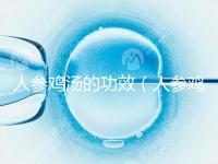 人參雞湯的功效(人參雞湯的功效與作用)