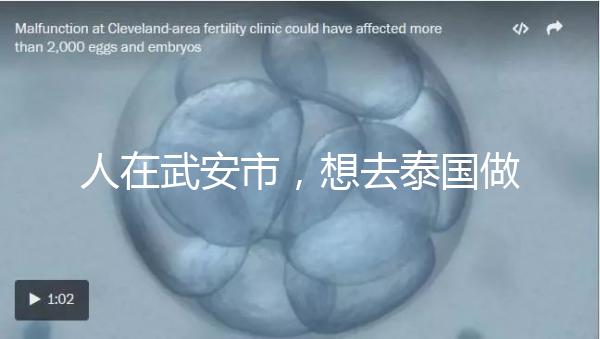 人在武安市，想去泰國做試管嬰兒生男孩要花多少錢？