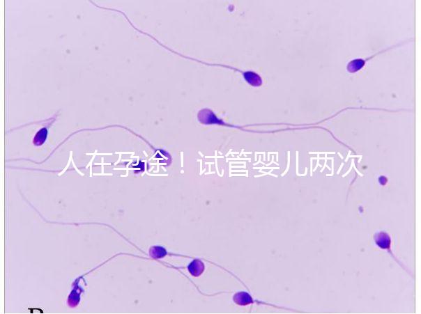 人在孕途!試管嬰兒兩次胎停育,了解這幾招能降低流產(chǎn)風(fēng)險(xiǎn)