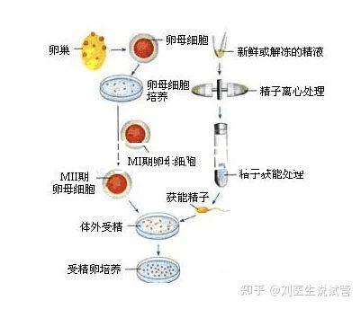 云南昆明三代試管助孕費用貴不貴呢？三代試管懷孕費用參考表！