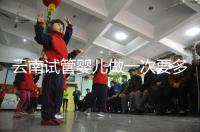 云南試管嬰兒做一次要多少錢？2024年助孕價格清單