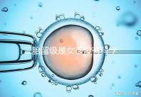 二胎留級是女孩沒有科學依據,出生早晚和性別無關