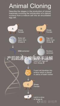產后疏通乳腺按摩手法解密,不用吸奶器輕松搞定堵奶、奶結