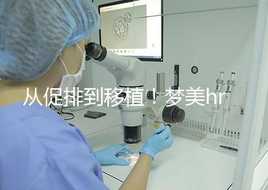從促排到移植！夢美hrc試管嬰兒流程共7步