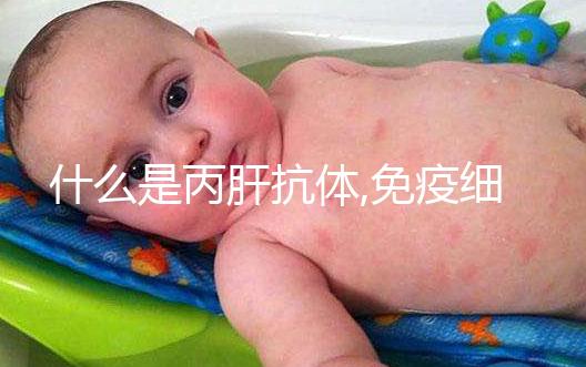 什么是丙肝抗體,免疫細胞生產(chǎn),介紹了解不針對病毒本身