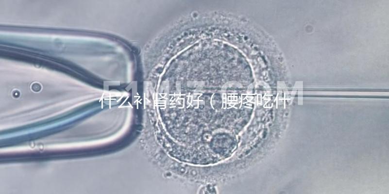 什么補腎藥好(腰疼吃什么補腎藥好)