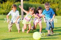 為什么懷孕早期的雙胞胎停止看,及時(shí)處理是首要任務(wù)