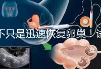 不只是迅速恢復(fù)卵巢!試管取卵后吃蘿卜的3大好處匯總