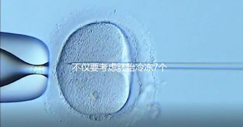 不僅要考慮胚胎冷凍7個(gè)月是否可以移植,還要了解受孕率的影響