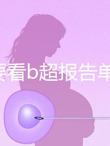 不止要看b超報告單!上海集愛試管全部檢查項目匯總