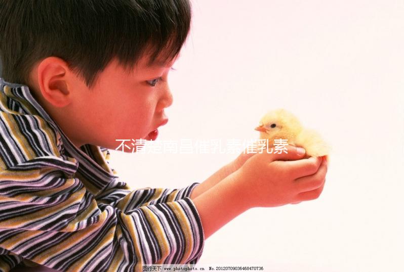 不清楚南昌催乳素催乳素催收如何收費快速閱讀,專業(yè)問題讓你花更少的錢