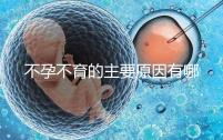 不孕不育的主要原因有哪些呢