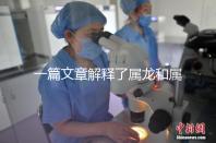 一篇文章解釋了屬龍和屬兔的人能否在一起,他們將如何全部包括在內(nèi)