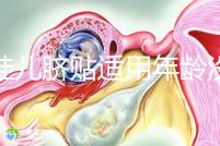 丁桂兒臍貼適用年齡沒(méi)明確規(guī)定,但初次使用必須滿(mǎn)月