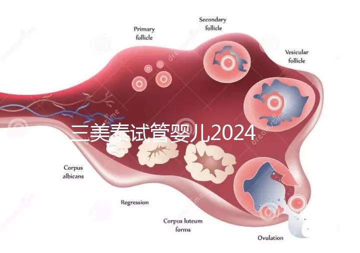 三美泰試管嬰兒2024年的成功率還能更高嗎？