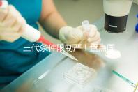 三代條件限制嚴！盤點國內為什么限制三代試管嬰兒？