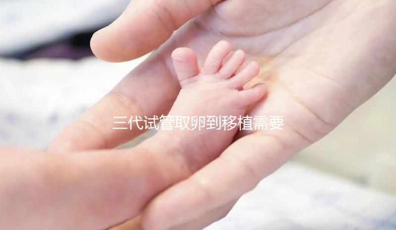 三代試管取卵到移植需要多久？總體時間安排分析