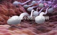 上海九院冷凍胚胎費用明細來了，保管多久、如何續(xù)費都有