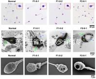 東北三省女多男少省的專業(yè)解讀原因1:1真沒開玩笑