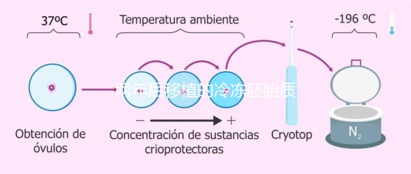 兩年后移植的冷凍胚胎質量差會怎么樣？有效的解決方案