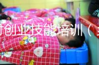 鄉(xiāng)村創(chuàng)業(yè)技能培訓(xùn)(鄉(xiāng)村創(chuàng)業(yè)技能培訓(xùn)心得體會(huì))