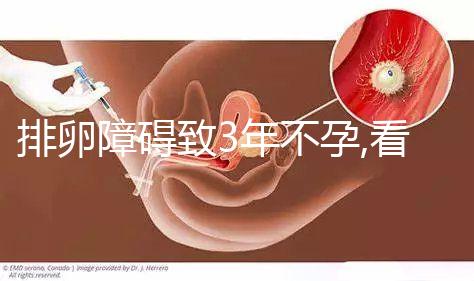 排卵障礙致3年不孕,看看中醫如何幫她走上了好孕之路