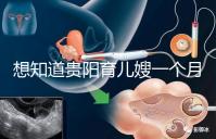 想知道貴陽育兒嫂一個(gè)月戳多少錢,云巖2萬夠不夠