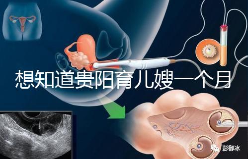 想知道貴陽育兒嫂一個月戳多少錢，云巖2萬夠不夠