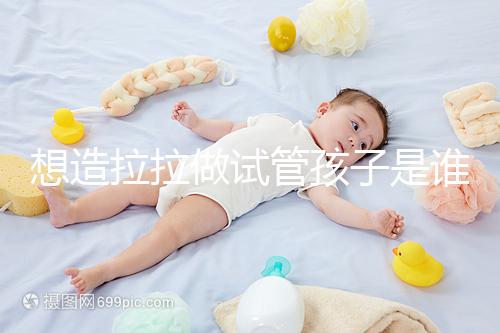 想造拉拉做試管孩子是誰的戳，是否屬于二人看專家怎么說