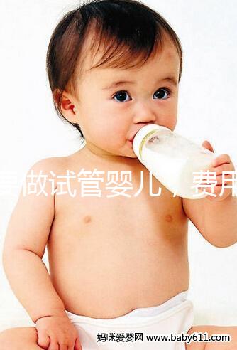 想要做試管嬰兒，費用預算大概是多少？