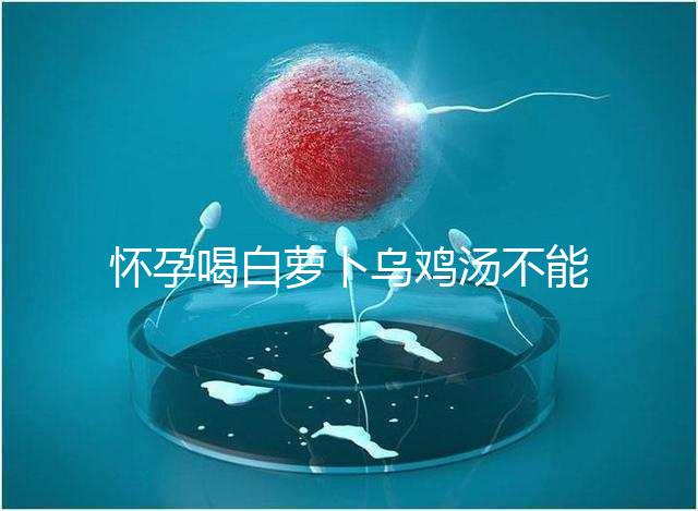 懷孕喝白蘿卜烏雞湯不能止孕吐？選對做法安胎又養顏