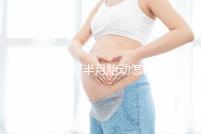 懷孕五個半月胎動怎樣才算正常