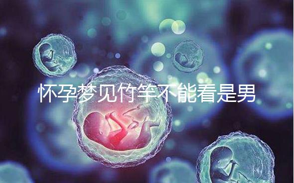 懷孕夢見竹竿不能看是男孩or女孩,解讀胎夢預兆別太主觀