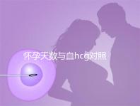 懷孕天數(shù)與血hcg對(duì)照表參考，孕早期排除病理性生化妊娠