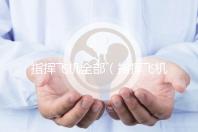 指揮飛機全部(指揮飛機全部過程視頻)