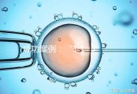 成功案例:“1 1=3”