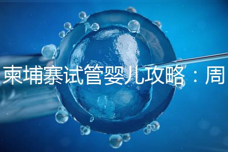 柬埔寨試管嬰兒攻略：周期和時間規(guī)劃全解析！