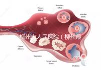 柳州市人民醫(yī)院(柳州最厲害的三個(gè)醫(yī)院)