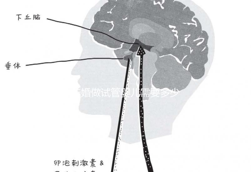 未婚做試管嬰兒需要多少錢?公立醫(yī)院費用大概在3-12萬