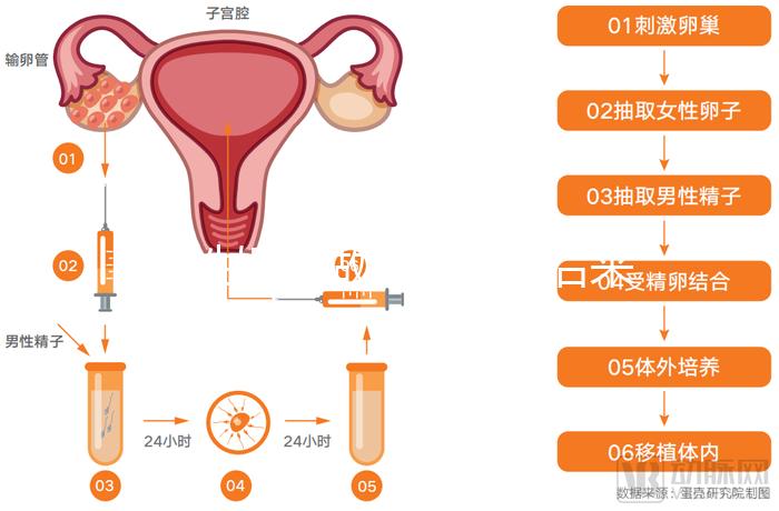 無性婚姻做試管嬰兒后來怎么樣？三個大案例揭開了內幕