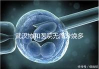 武漢協和醫院無痛分娩多少錢答案在這,住院一天費用不高