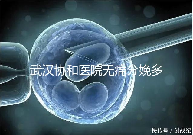 武漢協(xié)和醫(yī)院無痛分娩多少錢答案在這,住院一天費用不高